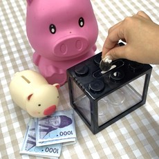 조립형 미니수조 블럭어항 수경식물 키우기세트