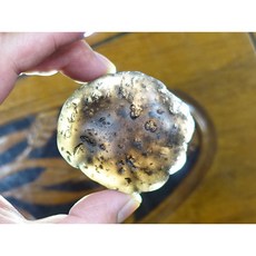 §能量礦石§ 印尼隕石 Agni Manitite 火山玻璃 100克 河川滾石拋光 能量石 黑隕石, 1個