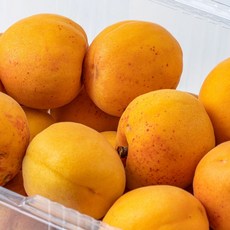 살구 1kg 중, 1박스