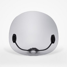 FASS GOGORO2 S2 淺灰 燻黑 造型風鏡 裸把車型專用, 1個