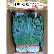 ( 용빈 상회 ) 국내산 깐쪽파 1kg(1단) 2kg(2단) 3kg(3단)내외, 1개, 3kg