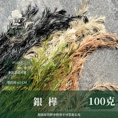 銀樺 銀樺葉 約100克 仿真植物 綠色裝飾 居家擺設, 52草綠,原裝, 1個