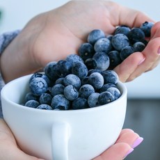 (냉동X) 슈퍼푸드 달콤한 칠레 생생 블루베리 왕특, 1세트, 칠레블루베리 125g * 2팩 (개당 18mm)