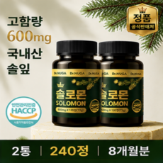 Dr. NUGA 국산 솔잎 추출물 솔로몬 정, 2세트, 120회분