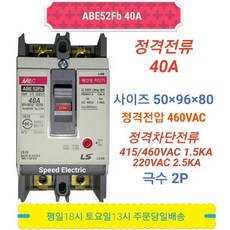 LS산전 ABE52Fb 40A 2P 분전반용 배선용차단기, 1개
