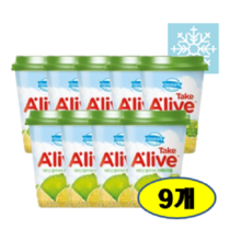 덴마크 테이크얼라이브 스위티자몽, 250ml, 9개