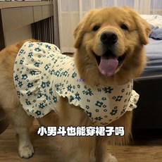 狗狗衣服 寵物碎花背心裙 德絨 多巴胺穿搭 小中大型犬, 1個, 【花朵】背心裙子,XS碼（2斤內）帶牽引扣