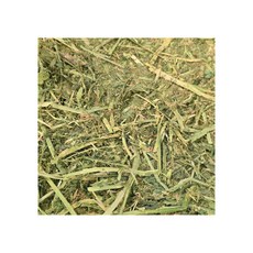 高營養苜蓿草 - 幼兔/天竺鼠/馬專用牧草 | 高鈣優質墊料| 兔子/龍貓/草食動物通用 | 粗纖維高適口性 多功能苜蓿草, 10kg, 1個