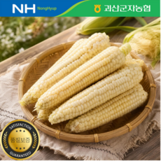 [괴산군자농협] 농협정품인증 괴산 대학찰옥수수 특품 (17cm내외), 1박스, 20개 특품 (17cm내외)