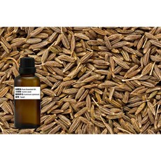 純精油 孜然 (Cumin seed) 產地: Egypt, 1個, 50ml