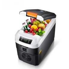 11L 차량용 냉장고 차량 가정용 겸용 12V220V 반도체 모바일 수평 소형, 옵션 1