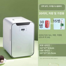 프리미엄 단일 음식물쓰레기 보관 냉장형 초소형 보존식 보관용, 기본 모델명/품번, 20L 듀얼코어 디지털