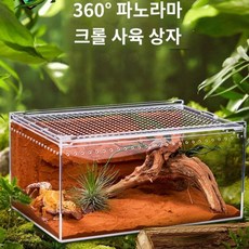 도마뱀집 뱀 파충류 하우스 크레스티드게코 키우기 기본, E. 소형 10x8cm