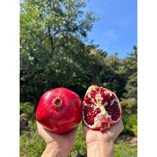 [급이다른 신선함]임산부 간식 추천 상큼석류, 1세트, 1kg(3-4과)