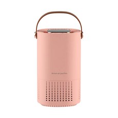 음이온 미니 공기청정기 냄새제거 USB충전, Pink
