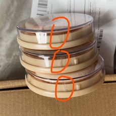 림멜 스테이 매트 파우더 베이지 실키 프레스드, H. 001 파우더는 손상되지 않고 덮개 가장, 1개