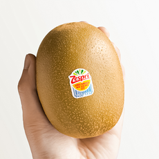 제스프리 썬골드키위 슈퍼점보 개별185g내외 11개입 2kg내외 신선포장, 1박스, 슈퍼점보 개별 185g내외 11개입