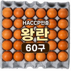 국내산 HACCP 인증 농장직송 신선계란 왕란 특란 대란, 1개, 60구