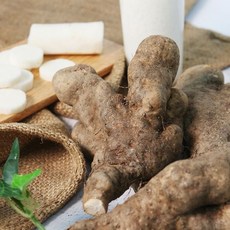 산지직송 안동 담백한 산마(못난이) 1kg35040009, 단일옵션