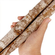 자연닮음 수입산 통 계피 시나몬 1kg, 1개, 1개입