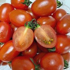 [싱싱냠냠] 국내산 대추 방울토마토, 1박스, 2kg(소과)