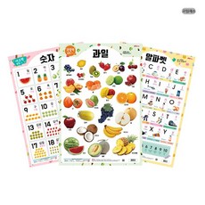 [DND] 양면학습벽보 과일채소 라미에이스, 단품