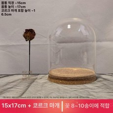 유리돔 전시함 결혼식 장식 투명 구형 크리스마스 저장용, 15x17 cm 8~10 송이
