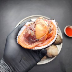 국내산 활 피조개 왕 특대 피꼬막, 3개, 2kg(6-10미내외)