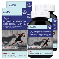 네이처랩 고함량 마그네슘 영양제 400 비타민B6 함유 3개월분, 2박스, 1108mgx90정, 90정