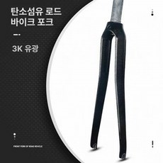 포크 풀카본 픽시자전거 출퇴근 싱귤러리티 트랙, 1개, 표시 없는 3K 패턴 370g B