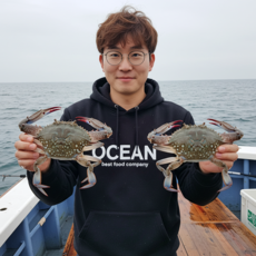 삼시세끼연구소 최북단 연평도 조업 살이 단단한 26년 햇꽃게 활 급냉 꽃게 숫꽃게 생물, 1세트, 2kg