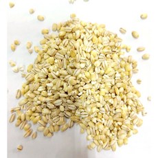 金協和 小薏仁 大麥仁 洋薏仁 珍珠大麥仁 養身食品, 1個, 600g