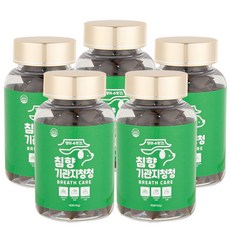 강아지 기관지 호흡기 영양제 거위소리 켁켁거림 감기 기침 댕이수랏간 침향 기관지청청 100g, 95정, 호흡기/기관지, 5개