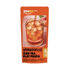 엑스라지 납작복숭아아이스티, 12개, 500ml