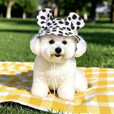 Lavitree강아지 고양이 펫 귀여운 도트 패턴 모자, 1개, A