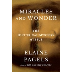 (영문도서) Miracles and Wonder: The Historical Mystery of Jesus Hardcover, Doubleday Books, English, 9780385547468