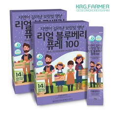 리틀앤마더 리얼 블루베리 퓨레 20g 14포, 28개