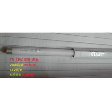 ecgo五金百貨 T5 21W 燈管 白光 6500K 日光燈管 3尺燈管 附發票 50支/箱, 1個, 白光(6500K)