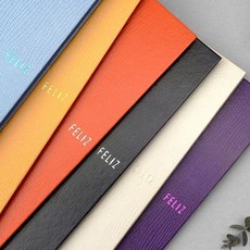 ) 펠리스 A5 칼라클리어화일 30매 고급화일 feliz, 스카이블루