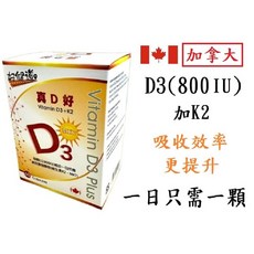 好健道 真D好維生素D軟膠囊 維生素D 800IU D3, 1個, 好健道真D好維生素D軟膠囊 60顆/盒