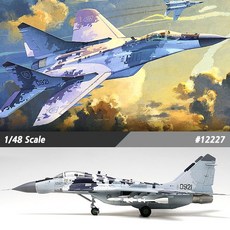 아카데미과학 미그-29AS 슬로바키아 공군, 12227, 1개