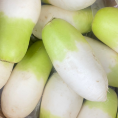 [굿피플] 월동무 제주월동무 제주무우 제주무 무 무우 김장무, 1박스, 무 월동무 10kg(중 2-8수)