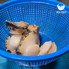 파도스토리 손질 완도 전복, 1개, 손질 전복 6미 (150g)