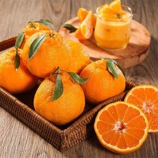 자연맛남 제주 고당도 한라봉 정품 1.5kg 중소과(8과내외), 자연맛남 제주 고당도 한라봉 정품 1.5kg 중소과(8