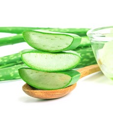 [유기농] 식용 알로에 생잎 알로에베라 2kg, 1kg, 1박스