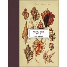 (영문도서) Vintage Prints: Shells Paperback, Createspace Independent Pub..., English, 9781721949328