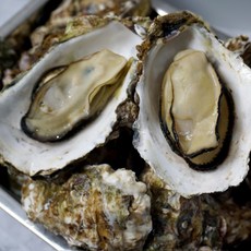 [ 당일/세척/선별 ]거제도 프리미엄 굴 ( 삼배체굴 ), 1박스, 삼배체굴 3kg(10미 내외)