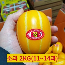 [농가직송] 성주 고당도 꿀벌참외 당도선별 가정용 못난이참외, 1개, 2kg 소과(11~14과)