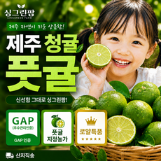 제주 풋귤 청귤 햇귤 로얄특품과, 1박스, 5kg 로얄특품