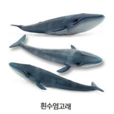 키즈장난감 어인형 유아장난감 공룡인형 흰수염고래 유아놀이인형 캐릭터인형 해양동물인형 소프트, 본상품